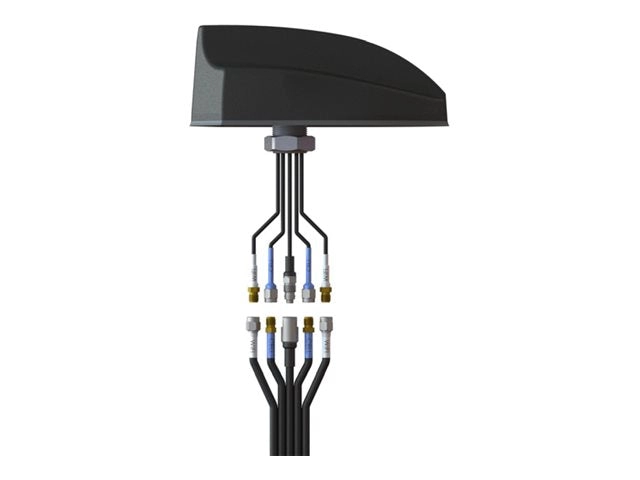 Airgain EZConnect - Antenna extension cable - SMA - 24 ft - coaxial - LMR-195 CCH-CG-1-1-24