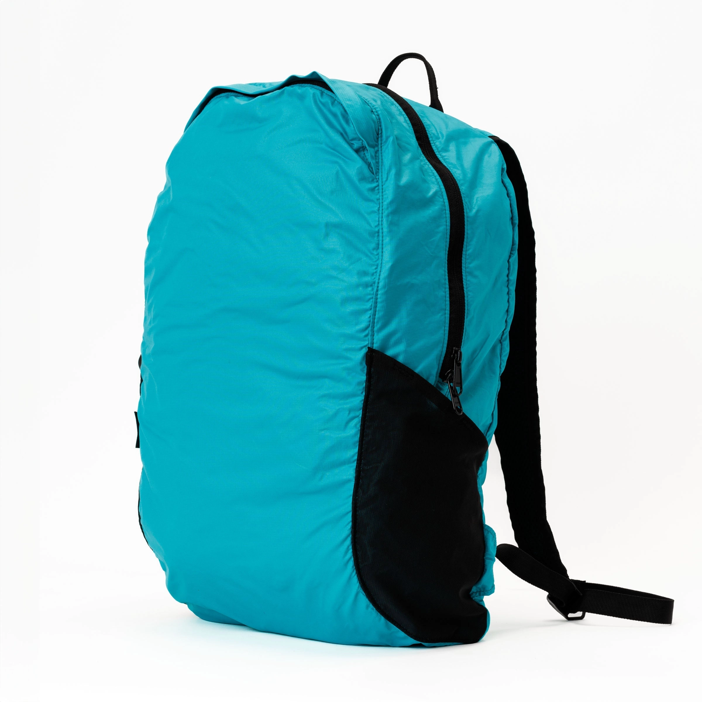 'Almost Perfect' Swathi Backpack