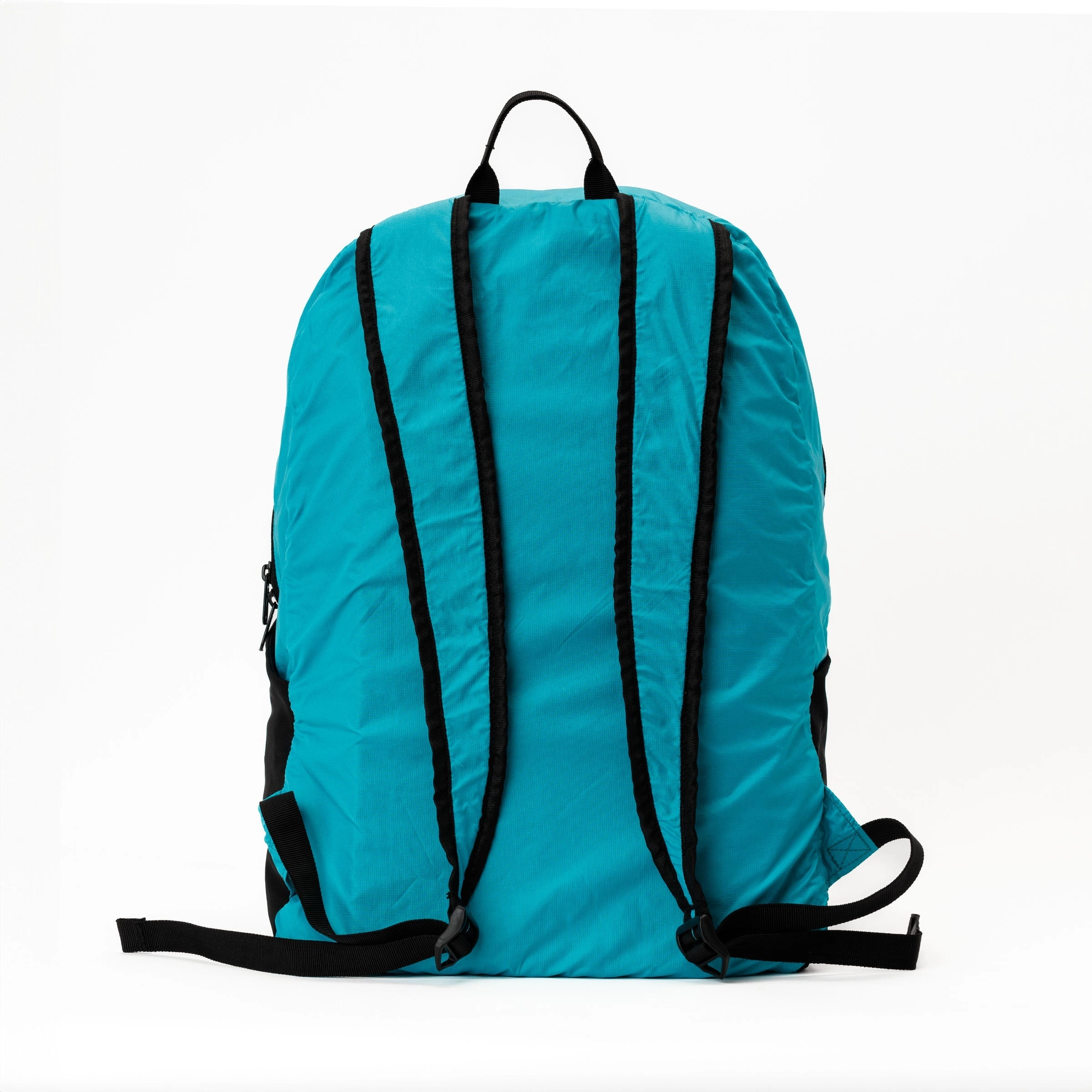 'Almost Perfect' Swathi Backpack