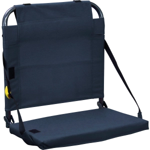 BleacherBack