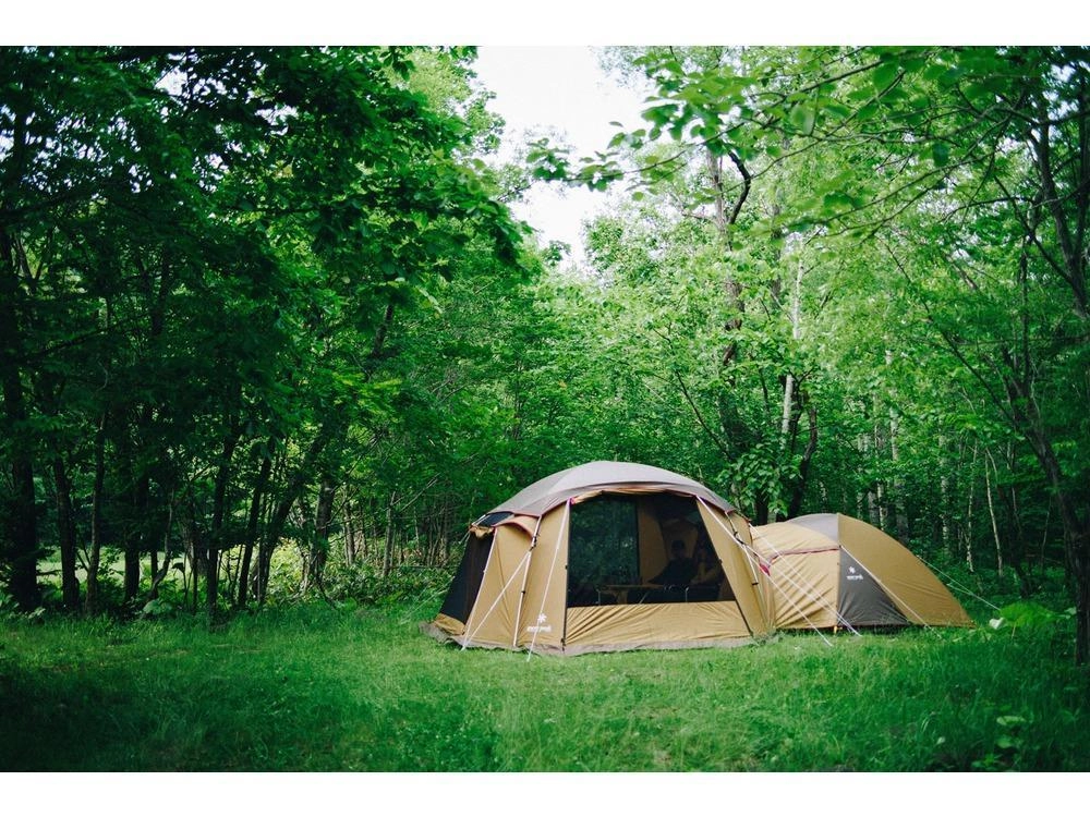 Mesh Shelter