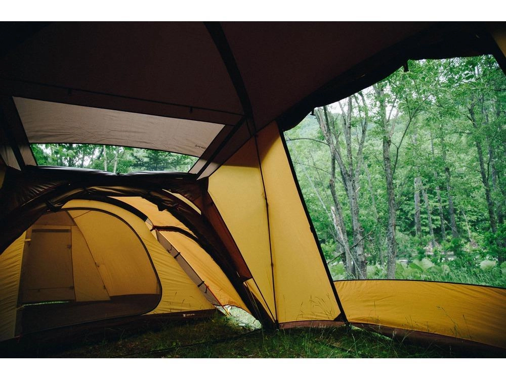 Mesh Shelter