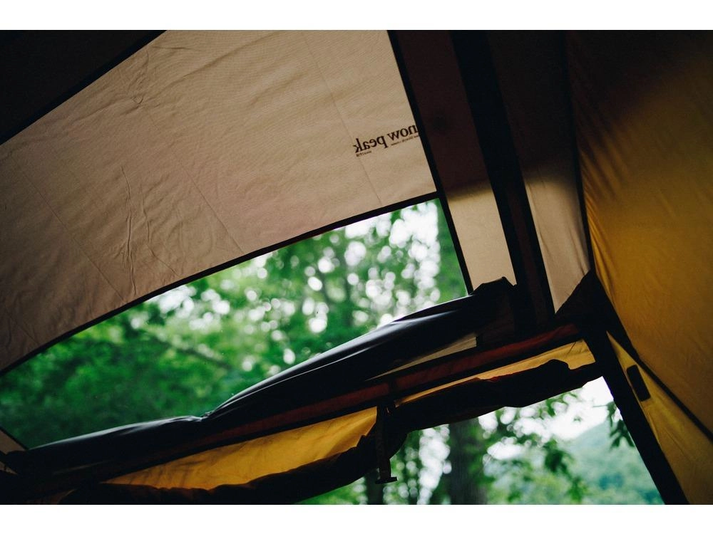 Mesh Shelter
